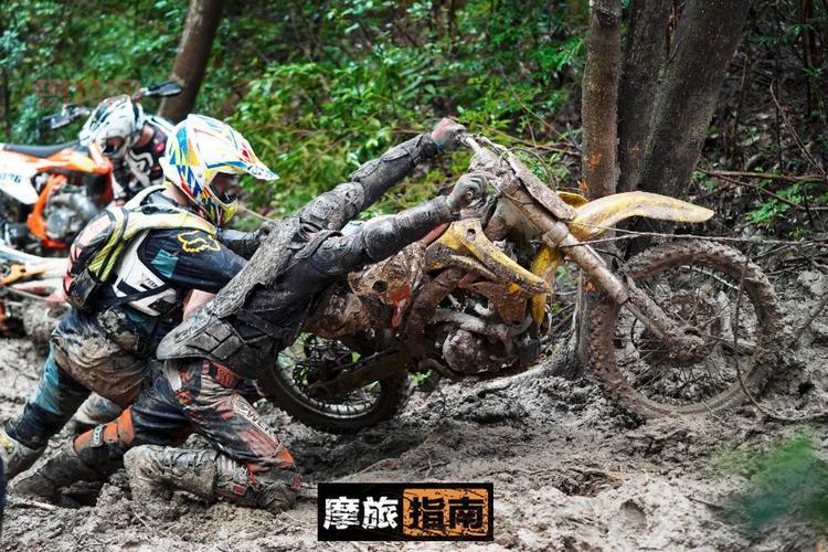 尘埃5中文版下载后闪退？教你几个解决方法！