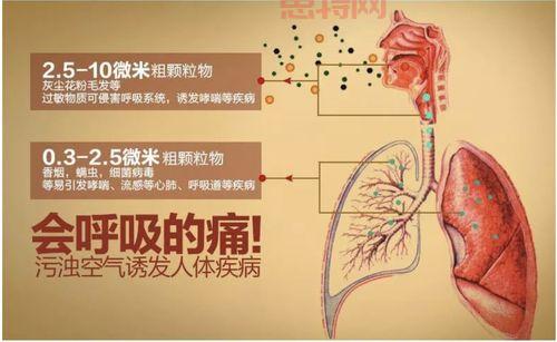 PM2.5污染的来源与治理：如何减少空气中的细颗粒物
