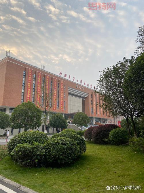 大四怎么过？高效规划，成就精彩未来！