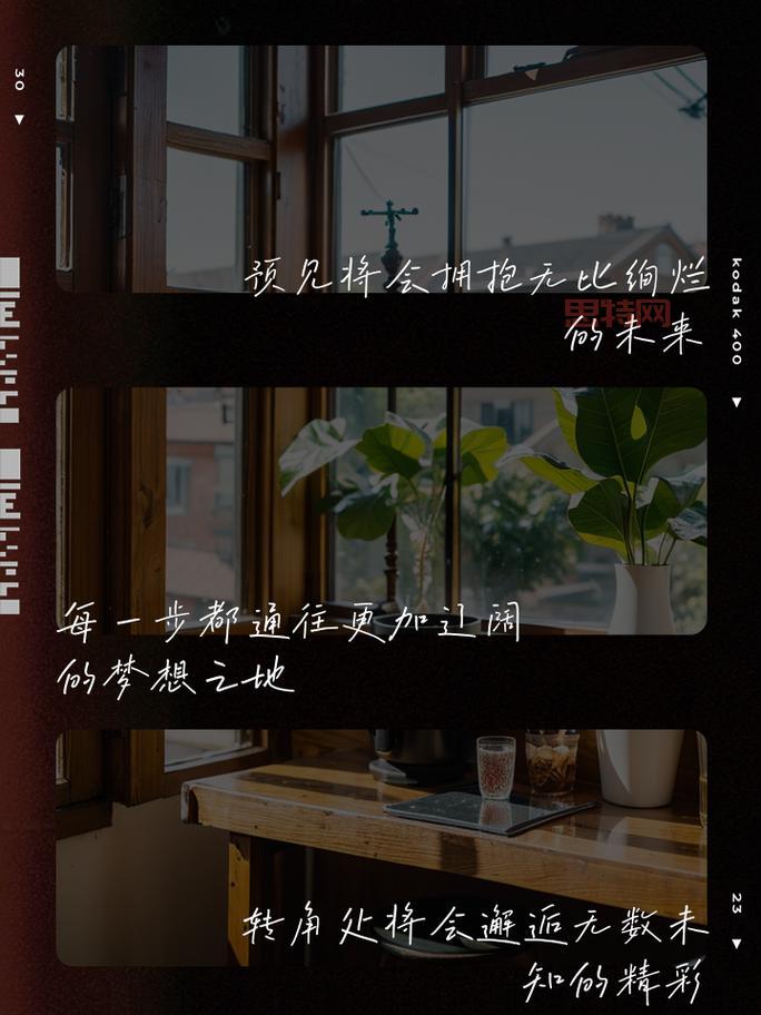 大四怎么过？高效规划，成就精彩未来！