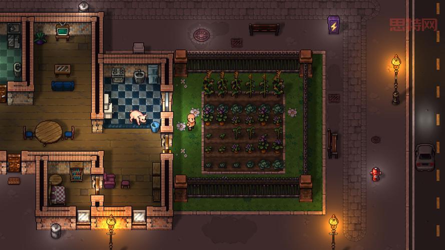 Streets of Rogue：探索像素世界中的无政府之路