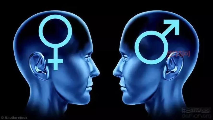 性欲与性别认同：探索“Sex”的文化和生理维度
