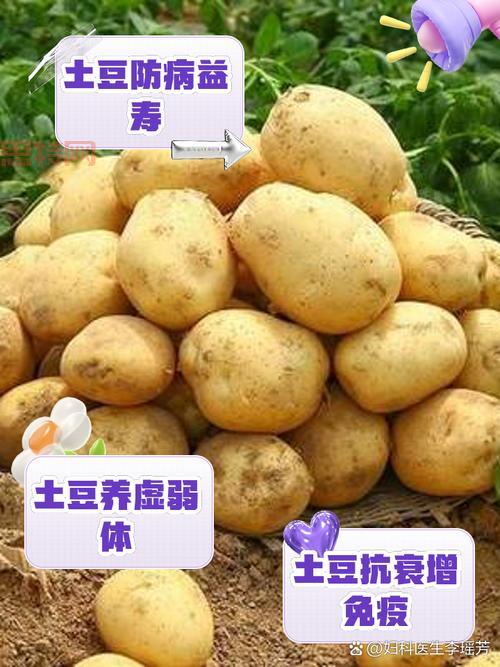 探索星木的神奇功效与传统用途