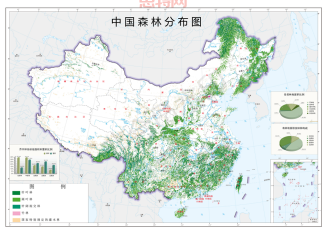 森林地图