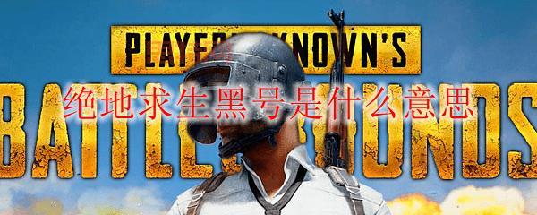 吃鸡黑号