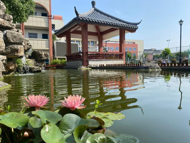 战神网：探索数码、生活与教育全方位的知识天地