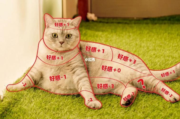 撸撸新手指南：如何正确理解与参与