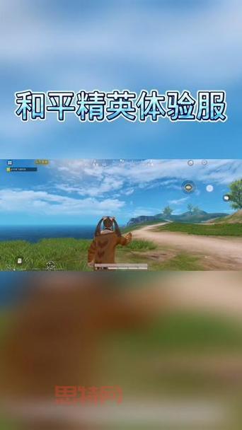 想玩和平精英体验服最新版？安卓下载安装看这里！