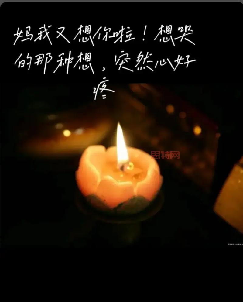 寻找被错过的天堂？这份完美攻略让你不留遗憾！