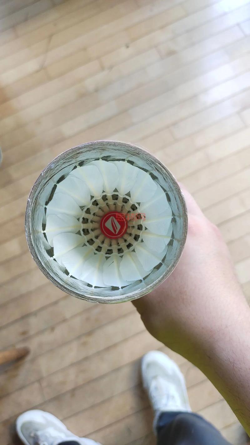 揭秘羽毛球：为什么大多数使用鹅毛制作？
