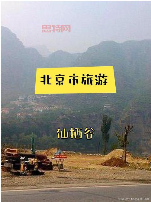 探索优游世界：最全手机游戏排行榜与攻略