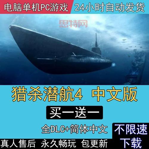 猎杀潜航4中文设置详解与常见问题解决