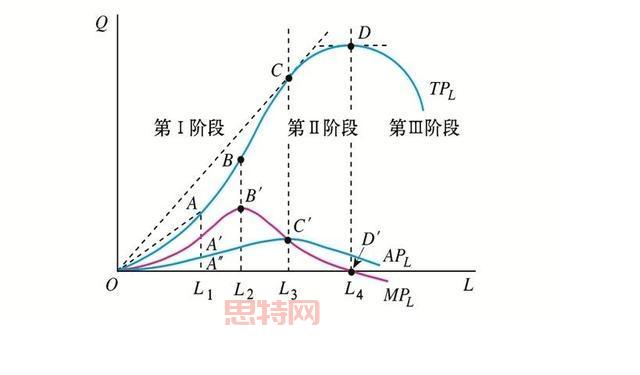 探索理性经济人模型：经济学的核心假设