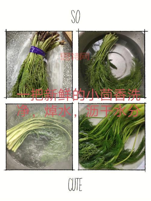 你知道吗？茴香含盐量竟然比生菜高，是真的吗？