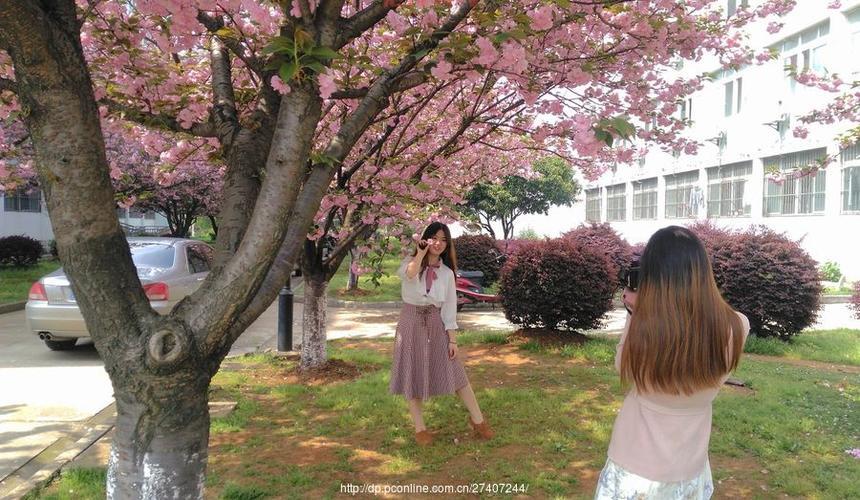 樱花校园夏洛服装哪里买？这几个地方让你挑花眼！