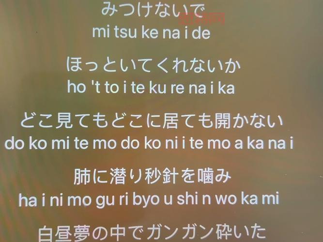 WO RI 是什么意思？网络流行语WO RI解读！