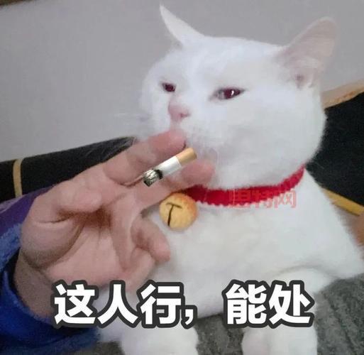 天龙八部系统表情包太好玩了！聊天斗图必备神器！