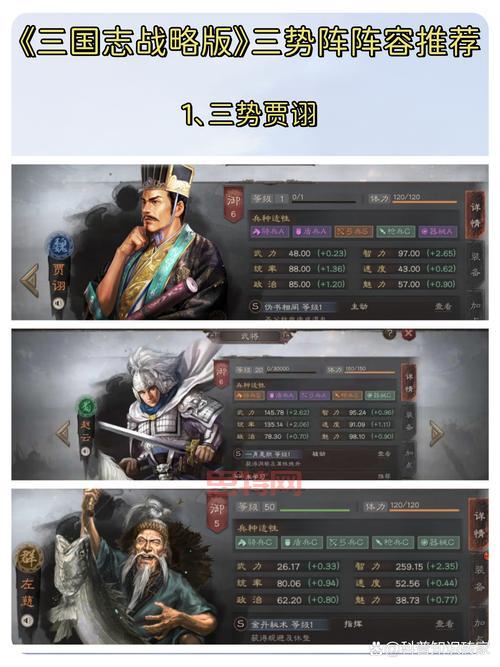 三国小分队阵容推荐，新手也能快速上手！