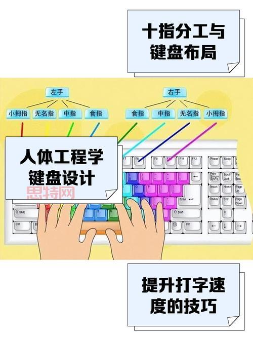 全聚合电脑版下载教程（新手快速上手指南）
