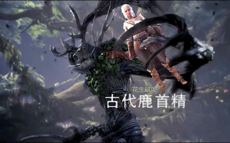 怪物猎人p3古代鲨鱼皮有什么用？详细用途攻略看这里！