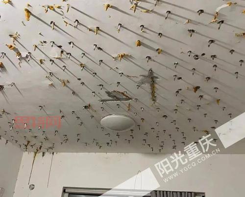 建筑工地上哪种钉子最可怕？不注意安全很危险！