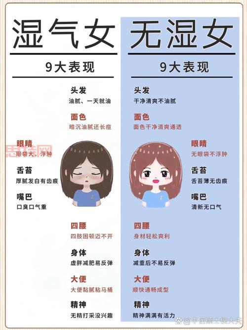 同色相煎是什么意思？热门解读与深度分析！