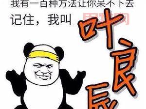 还在问421是什么梗？这篇文章让你快速了解来龙去脉！