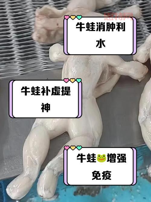 dota牛蛙是干嘛的？一篇文章带你了解它的作用！