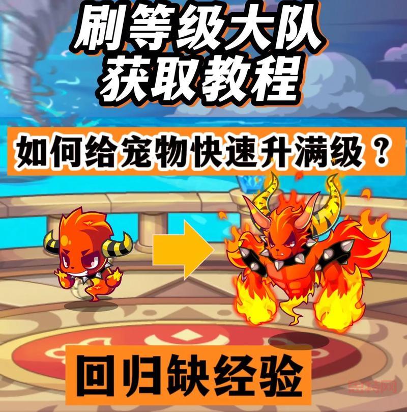 洛克王国宠物怎么升级快？老玩家分享独家秘籍！