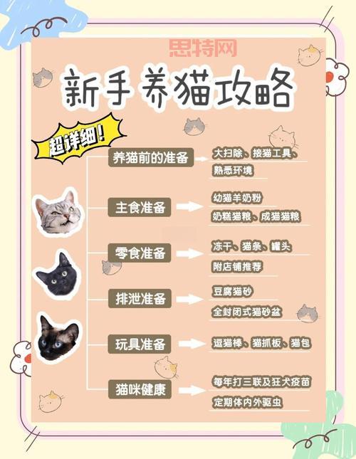 猫射手存档怎么用才正确？新手玩家看这里避免丢失进度！