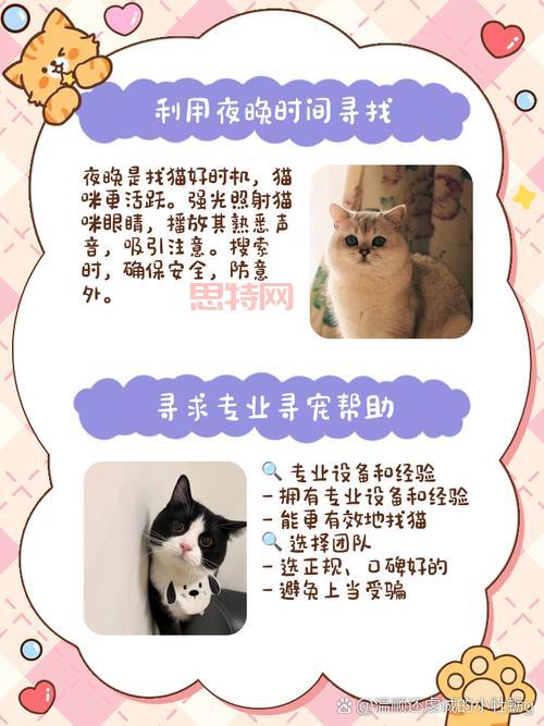 猫射手存档怎么用才正确？新手玩家看这里避免丢失进度！