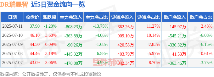 瑞晟智股價震盪解析：基本面臨考驗，資金流向揭秘