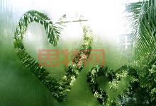 冰塊裡的階級焦慮：解讀夏日消費的幻覺與真相