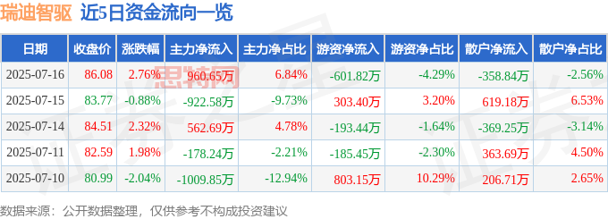 瑞迪智驱深度分析：资金流向、财务报表揭秘，AI也难预测的股市剧情