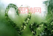 川普簽署GENIUS法案：加密貨幣轉折點？華爾街的機遇與挑戰