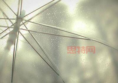 石破茂閃辭內幕：自民黨崩盤？權力鬥爭與美日貿易的政治餘震