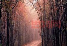 AI产业虚火：中国人工智能规模7000亿背后的真相