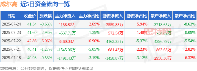 威爾高股價異動：誰在操控？