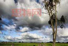 中国券商并购重组新战局：研究部门崛起，重构价值引擎