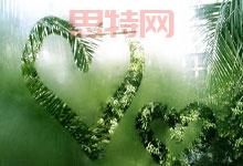 能之光IPO：揭秘北交所新秀，高分子材料的技術實力與未來