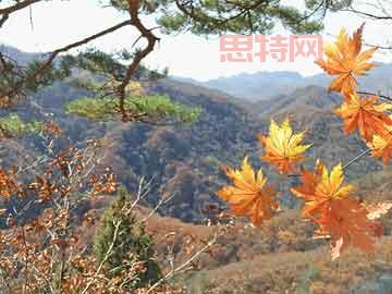 巴兰仕北交所上市：汽车检测设备新星的机遇与挑战