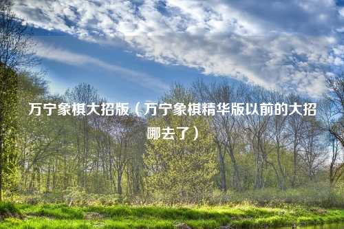 万宁象棋大招版（万宁象棋精华版以前的大招哪去了）