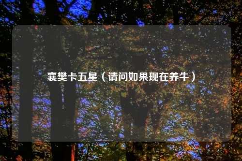 襄樊卡五星（请问如果现在养牛）