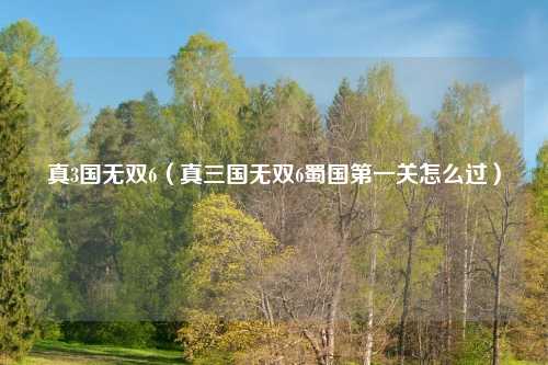 真3国无双6（真三国无双6蜀国第一关怎么过）