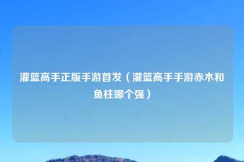 灌篮高手正版手游首发（灌篮高手手游赤木和鱼柱哪个强）