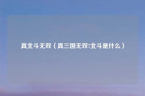真北斗无双（真三国无双7北斗是什么）