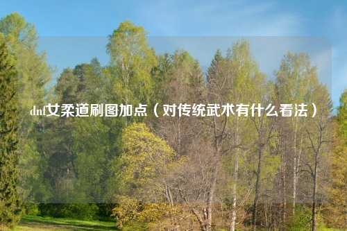 dnf女柔道刷图加点（对传统武术有什么看法）