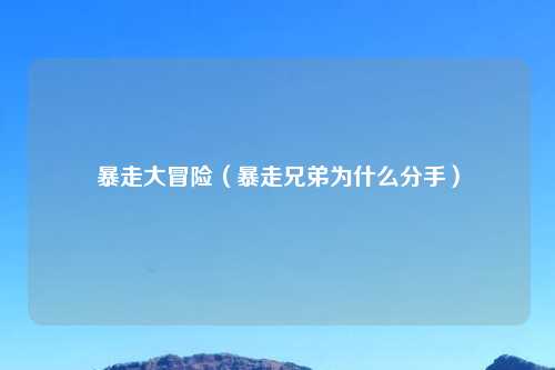 暴走大冒险（暴走兄弟为什么分手）