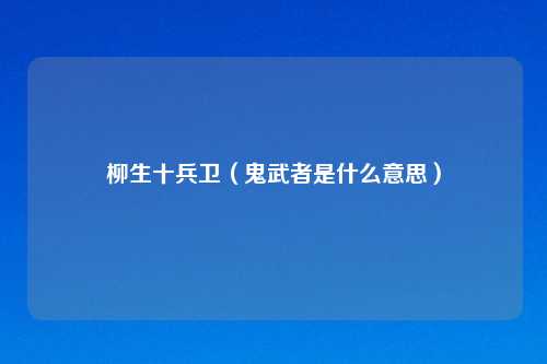 柳生十兵卫（鬼武者是什么意思）