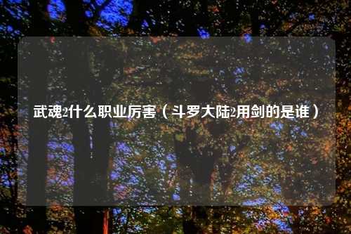 武魂2什么职业厉害（斗罗大陆2用剑的是谁）